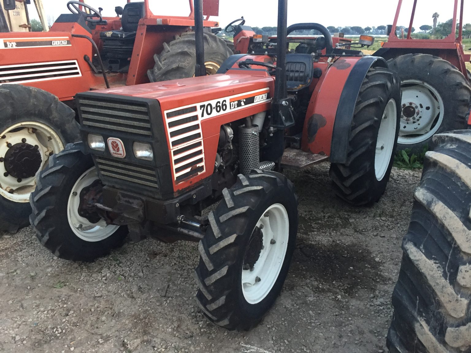 Fiat 70 66 DT Frutteto Usato Pacini Macchine Agricole fiat-70-66-dt-frutteto-usato-pacini-macchine-agricole